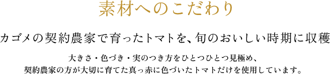 素材へのこだわり。カゴメの契約農家で育ったトマトを、旬のおいしい時期に収穫。大きさ・色づき・実のつき方をひとつひとつ見極め、契約農家の方が大切に育てた真っ赤に色づいたトマトだけを使用しています。