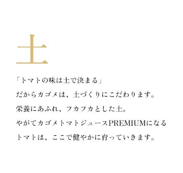 「トマトの味は土で決まる」だからカゴメは、土づくりにこだわります。栄養にあふれ、フカフカとした土。やがてカゴメトマトジュースPREMIUMになるトマトは、ここで健やかに育っていきます。