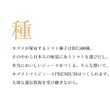 カゴメが保有するトマト種子は約7,500種。その中から日本人の味覚にあうトマトを選びだし、本当においしいジュースをつくる。そんな想いで、カゴメトマトジュースPREMIUMはつくられます。大切な遺伝資源を受け継ぎながら。