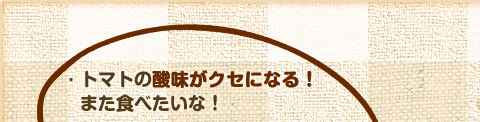 トマトの酸味がクセになる！また食べたいな！