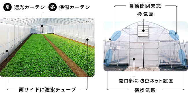 高機能ハウスによる栽培の最適化