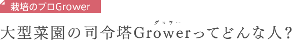 栽培のプロGrower　大型菜園の司令塔Growerってどんな人？