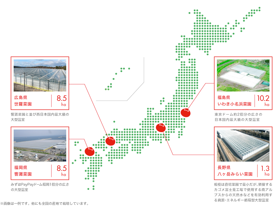 全国栽培拠点マップ