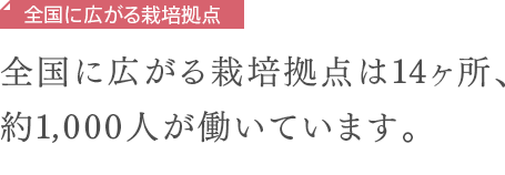 全国に広がる栽培拠点　全国に広がる栽培拠点は14ヶ所、約1,000人が働いています。