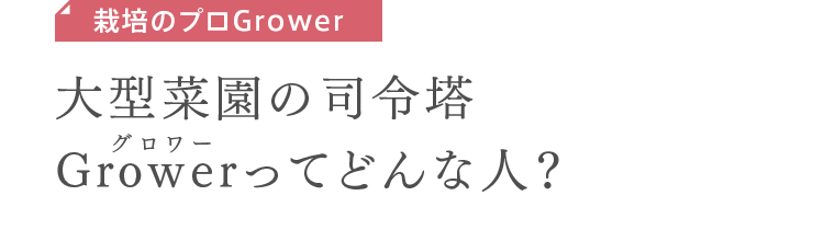 栽培のプロGrower　大型菜園の司令塔Growerってどんな人？