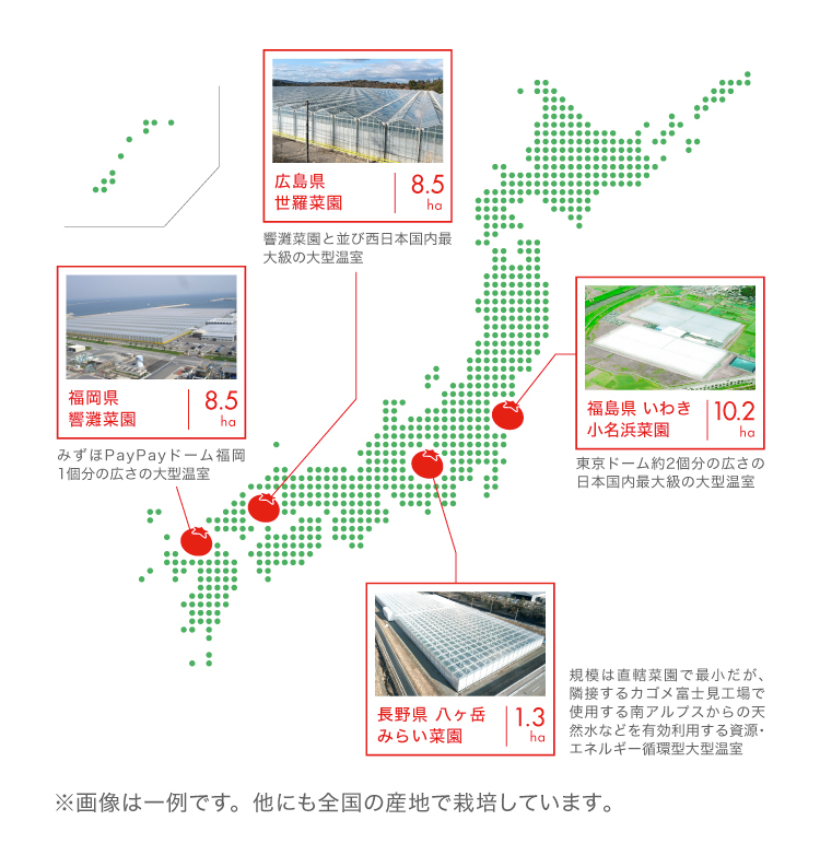 全国栽培拠点マップ