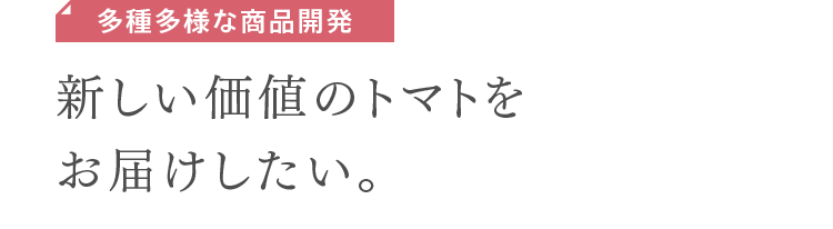 多種多様な商品開発　新しい価値のトマトをお届けしたい。