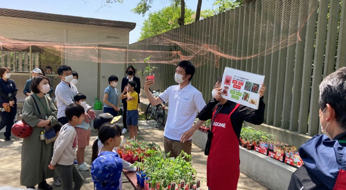 ヤンマーマルシェ、タキイ種苗と「植育から始まる食育」を企画 59_mv.jpeg
