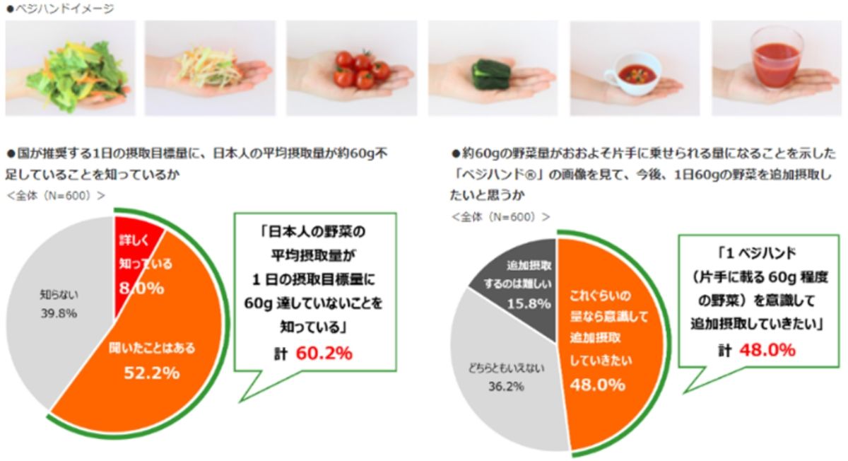 タキイ種苗『野菜と家庭菜園に関する調査』に「野菜をとろうキャンペーン」と連携した内容を掲載 2208_タキイ 2.jpeg