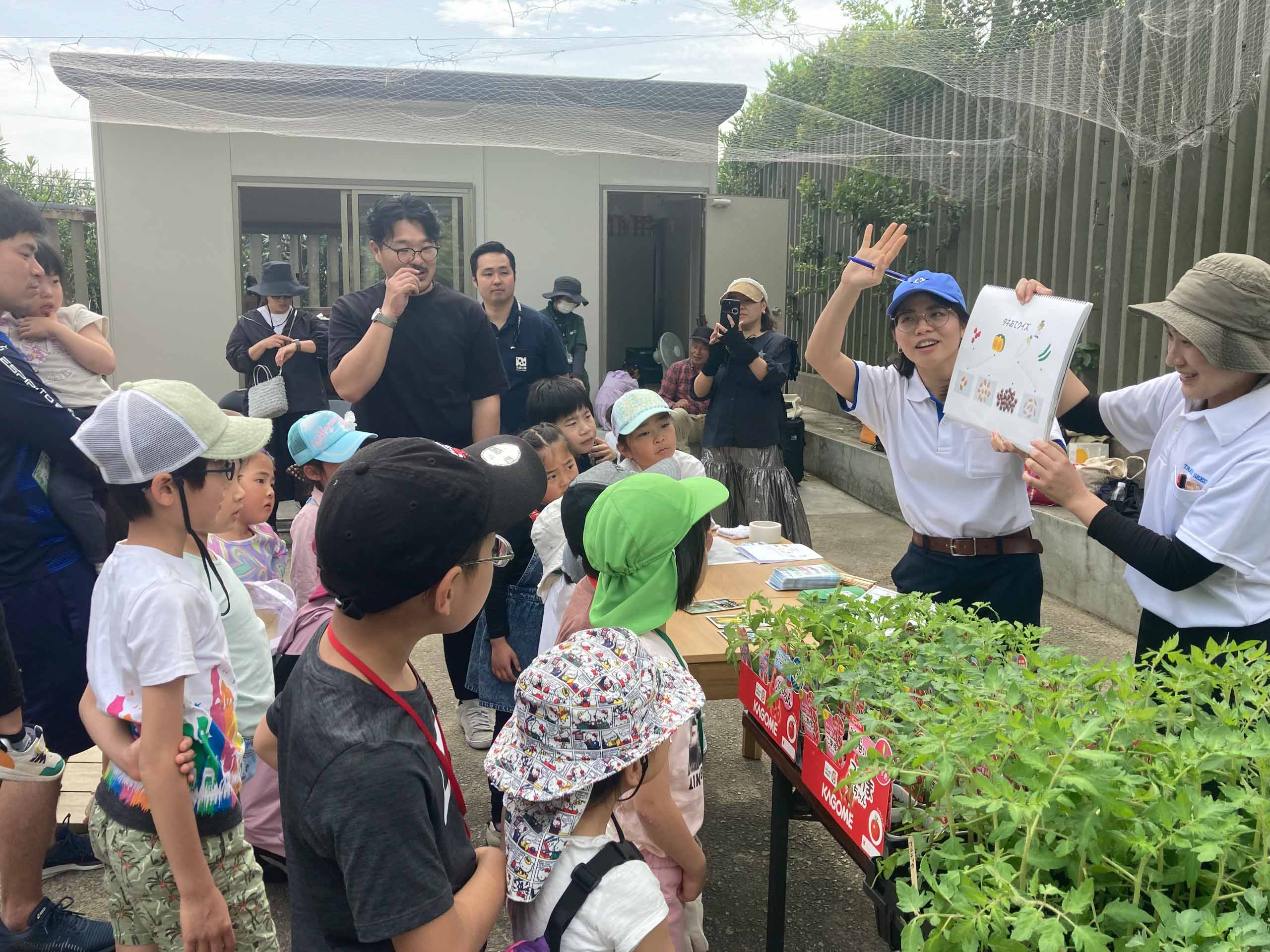 ヤンマー&タキイ種苗 貸農園「わくわくファーム長居」での「トマトと野菜の定植イベント」を開催 ⑥ヤンマータキイ定植イヘ゛ント種のセミナー.jpg