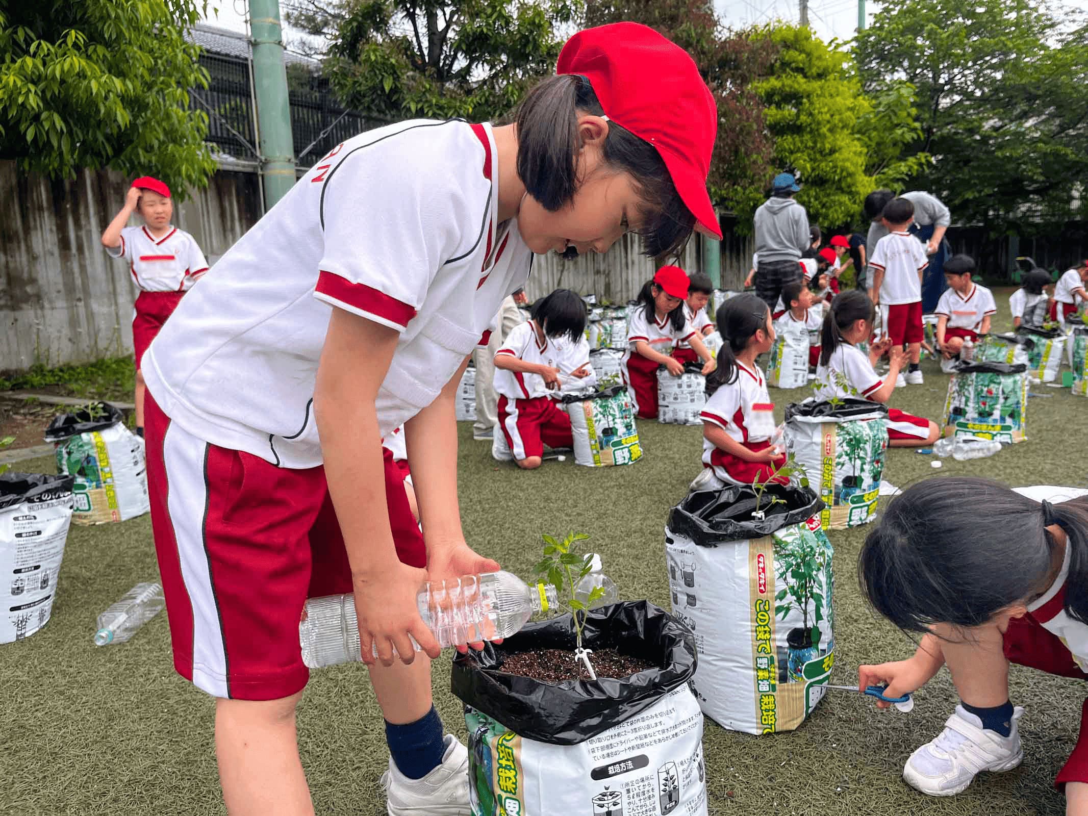 タキイ・立命館③.jpg