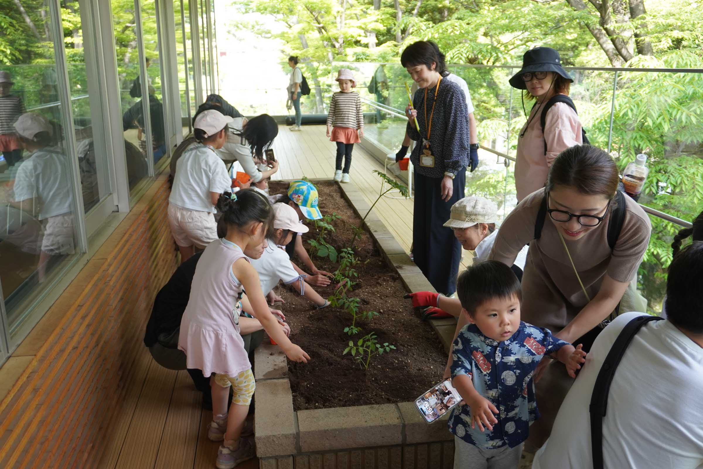都市部でも「育てて食べる」体験を。品川区立環境学習交流施設「エコルとごし」でトマト苗定植体験会を実施 shinagawa 1.jpg