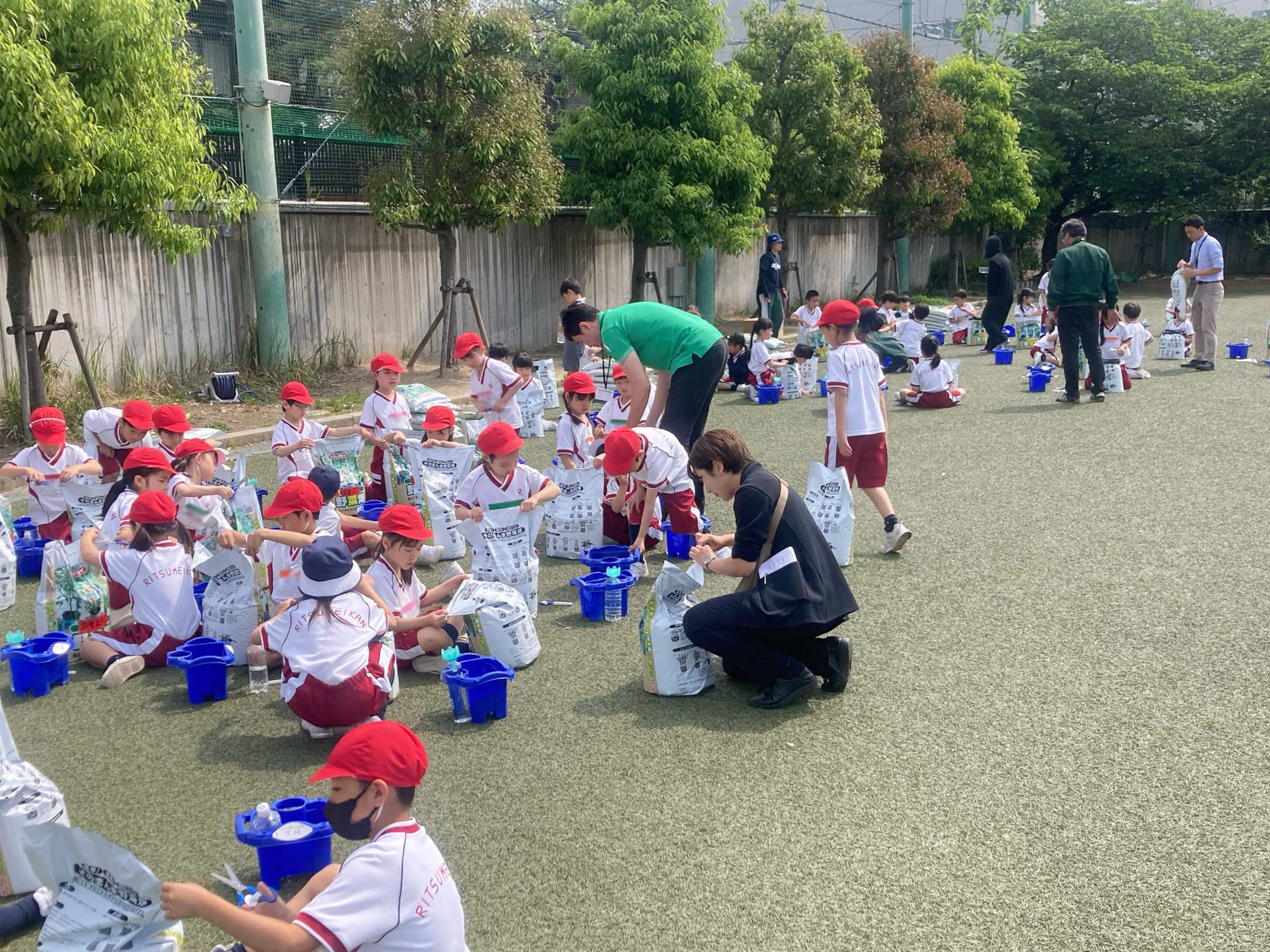 立命館小学校でトマトの苗定植&加工品授業を実施。「育てて、知って、食べる」体験型学習を提供 ritsumeikan 1.jpg