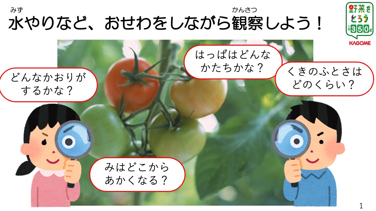 「ベネッセの学童クラブ」に通う子どもたち約1000人に、オンライン社会科見学「めざせ!野菜ものしり王」を実施 benesse1.jpeg