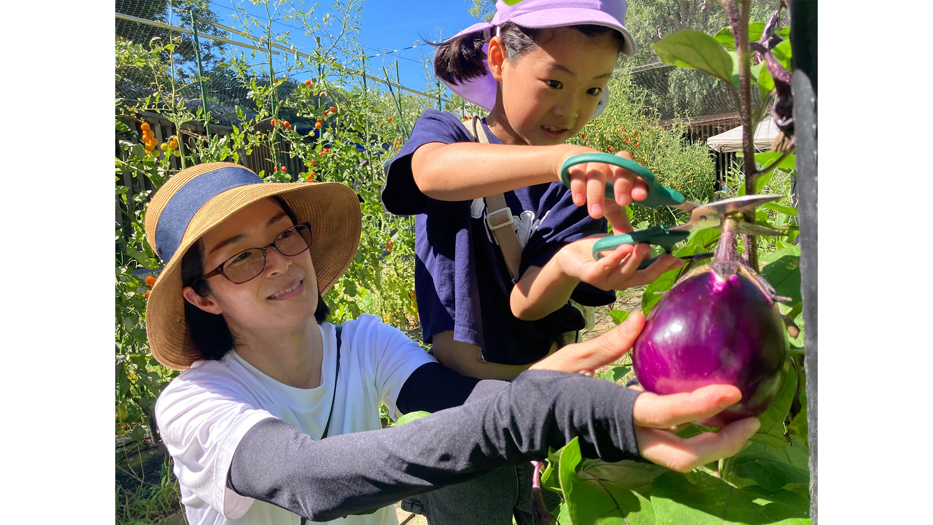 「農園の料理教室」を開催 ― 子どもたちが夏野菜350gのラタトゥイユリゾットに挑戦 ヤンマータキイ植育1.jpg
